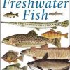 Ken Schultz's Field Guide to Freshwater Fish