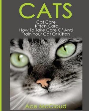 Cats: Cat Care: Kitten Care: How to Take Care of and Train Your Cat or Kitten
