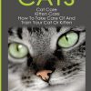 Cats: Cat Care: Kitten Care: How To Take Care Of And Train Your Cat Or Kitten
