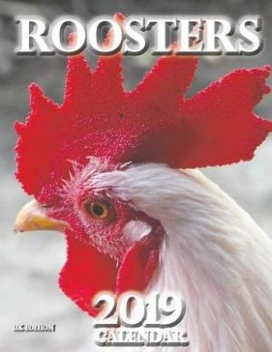 Roosters 2019 Calendar (UK Edition)