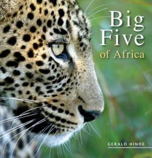 Big five of Africa