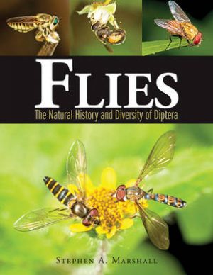 Flies: The Natural History and Diversity of Diptera