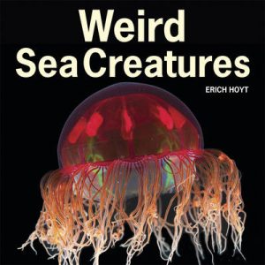 Weird Sea Creatures