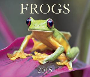 Frogs: 2015