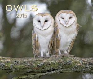 Owls: 2015