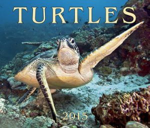 Turtles: 2015