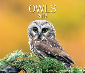 Owls 2017