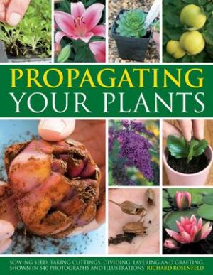 Propagating Your Plants