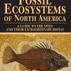 Fossil Ecosystems of North America: A Guide to the Sites and their Extraordinary Biotas
