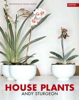 House Plants