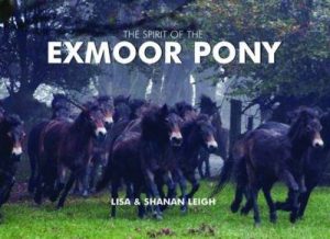 Spirit of the Exmoor Pony