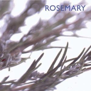 Rosemary