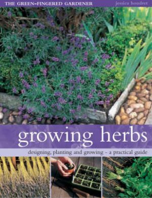 Growing Herbs