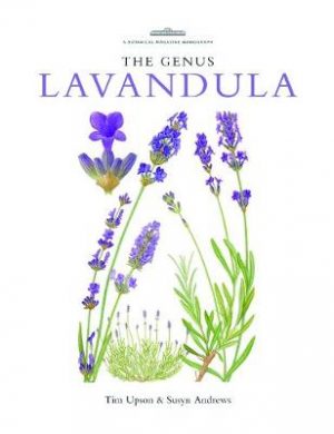 The Genus Lavandula