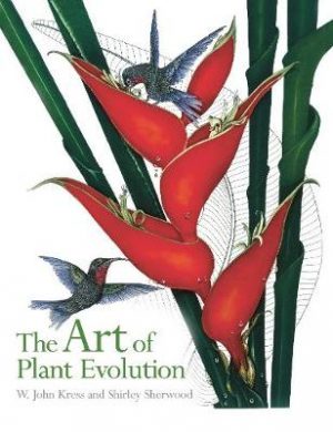The Art of Plant Evolution - Paperback