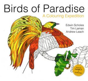 Birds of Paradise: A colouring expedition