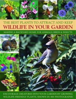 Best Plants to Attract and Keep Wildlife in the Garden