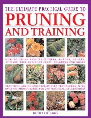 Pruning: Training and Topiary