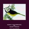 Burridge's Multilingual Dictionary of Birds of the World: Volume 4: Dutch (Netherlands)