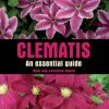 Clematis: An Essential Guide