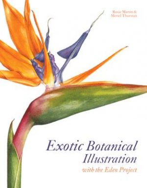 Exotic Botanical Illustration - with the Eden project