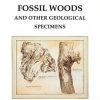 Fossil Woods and Other Geological Specimens