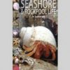 A Guide to Finding Seashore and Rockpool Life in Somerset