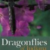 Dragonflies of Indiana