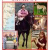 Taylor-Made Jackpot: Sheep, Horses, Cats & Dogs