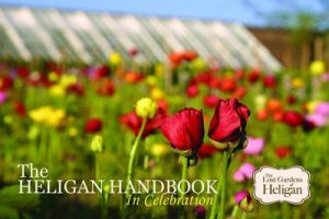 The Heligan Handbook: In Celebration