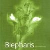 Blepharis (acanthaceae): A Taxonomic Revision