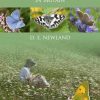 Discover Butterflies in Britain