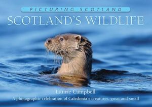 Scotland's Wildlife: Picturing Scotland