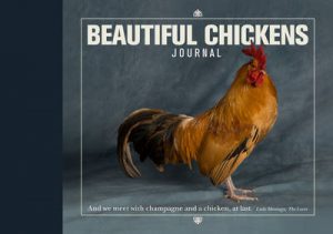 Beautiful Chickens Journal