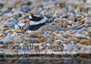 Rings in the Shingle: Images and Poems from the Norfolk Coast