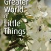 The Greater World of Little Things
