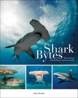 Shark Bytes: Tales of Diving with the Bizarre and the Beautiful