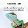 Anoles. Anoles as Pets. Anoles Care, Behavior, Diet, Interacting, Costs and Health.