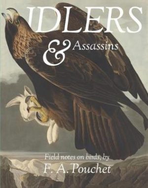 Idlers & Assassins