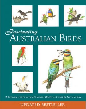 Fascinating Australian Birds
