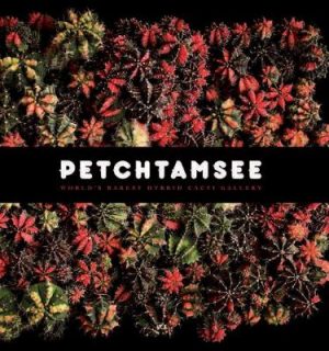 Petchtamsee: World's Rarest Hybrid Cacti Gallery