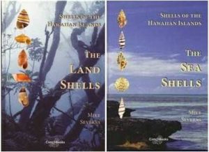 Shells of the Hawaiian Islands