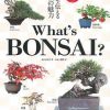 Whats Bonsai