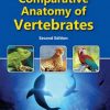 Comparative Anatomy of Vertebrates