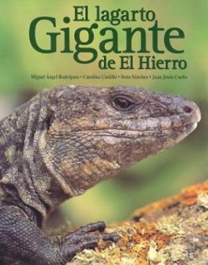 El Lagarto Gigante de el Hierro [The Hierro Giant Lizard]