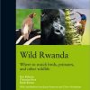 Wild Rwanda: Where to Watch Birds, Primates, and Other Wildlife