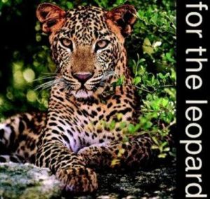 For the Leopard: A Tribute to the Sri Lankan Leopard