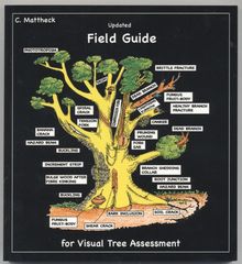 Tree Faller's Manual: Techniques for Standard and Complex Tree-Felling  Operations (Paperback)