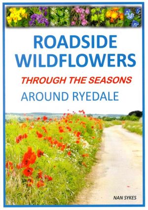Roadside Wildflowers Through the Seasons Around Ryedale