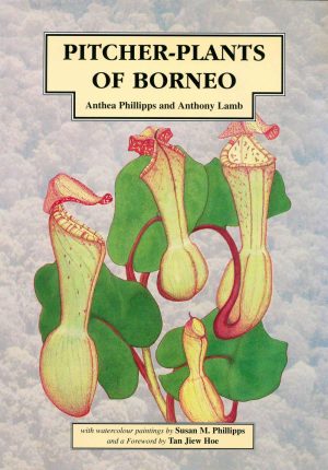 Pitcher-Plants of Borneo